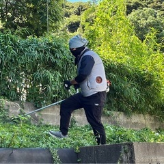 草刈りや剪定🌲