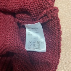 INGNI ニットの画像