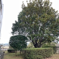 仕事仲間や造園経験者募集！！（未経験者可）