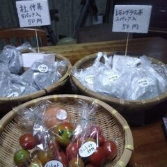 新鮮野菜コーナー7月27日の品出し予定です。の画像