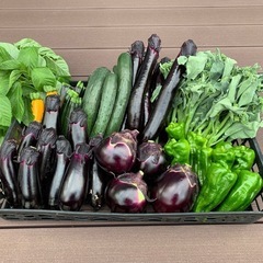 野菜バラエティーセット🥦🍆✨一時販売停止中🙇‍♂️