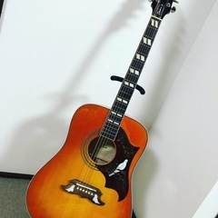 アコギ・エレアコ 
Epiphone Dove pro 