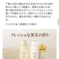 ▪️新品▪️和の実　トリートメントの画像
