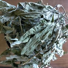 ☆菊芋葉☆無農薬☆６０g☆乾燥☆葉☆免疫力向上☆代謝促進☆の画像