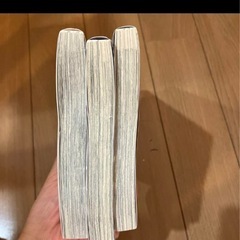それでも愛を誓いますか？　1.2.3巻の画像