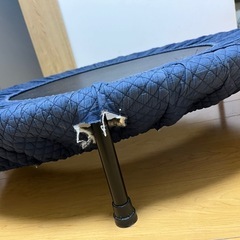 室内用トランポリンの画像