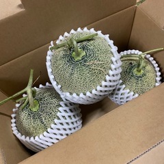 メロンの画像