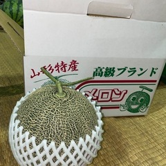 メロンの画像