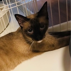 遊ぶの大好き❣️「チャオ」くん😸