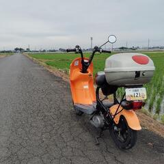 スズキチョイノリです、１年自賠責のこってます、5000kmの画像