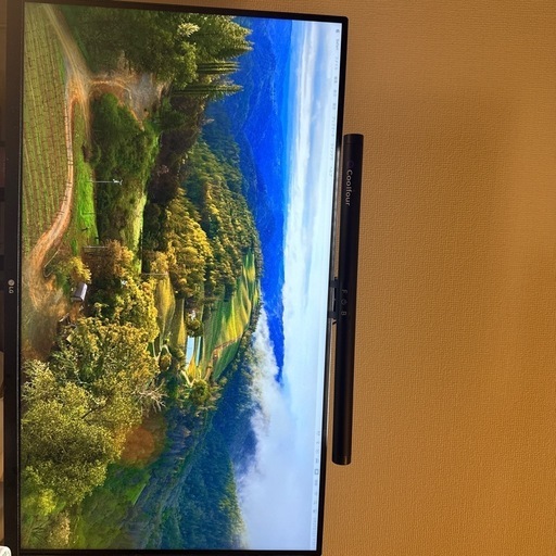 LG フレームレス モニター ディスプレイ 32UN550-WAJP 31.5インチ/4K/HDR/VA非光沢/HDMI×2、DP/FreeSync対応/スピーカー搭載/高さ調節/フリッカーセーフ、ブルーライト低減 /3年安心・無輝点保証
