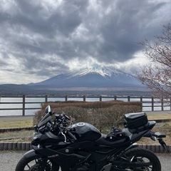 ワンオーナー・スズキGSX250R_2021年式_1.5万キロの画像