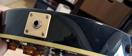 エレキギター ケース付き Epiphone standardPro