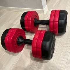 リーディングエッジ　アーミーダンベル　10kg✖️2