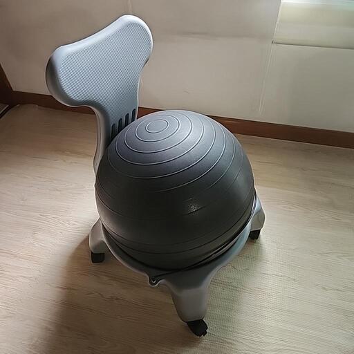 バランスボールチェア自宅/職場　バランスボール