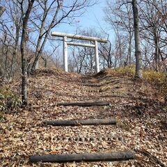 軽い登山　長野市近郊　太郎山一緒に登りませんか？