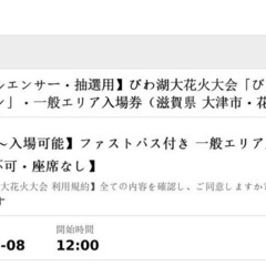 びわ湖大花火大会８月８日チケット2枚
