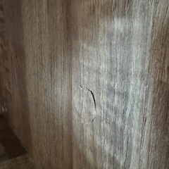 LOWYA テレビ台、ローボードの画像