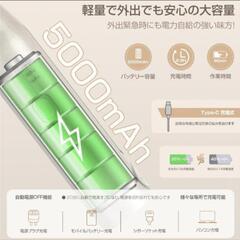 🌟 ́大人気商品🌟携帯可能な軽量ストレートアイロンの画像