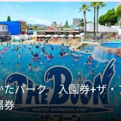 ひらパー　ザ・ブーン　入場券