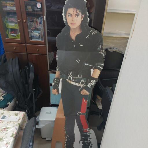 美品【マイケル・ジャクソンのパネル】
