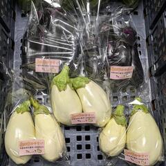 広島県東広島産の『三尺ササゲ🫛』約500g(約60本前後) ※出荷当日の朝採り野菜の為、天候により出荷予定日が前後する場合がございます🙇‍♀の画像