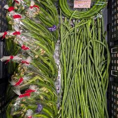 広島県東広島産の『三尺ササゲ🫛』約500g(約60本前後) ※出荷当日の朝採り野菜の為、天候により出荷予定日が前後する場合がございます🙇‍♀の画像