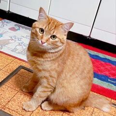 ボランティアさんの知り合いに決まりました