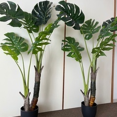 ニトリ購入フェイクグリーン✖️2