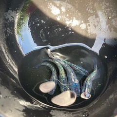 【お取引中】サファイアメダカ　5匹　#7の画像