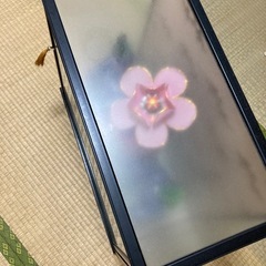 琉球人形の画像