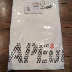 SAPEur✕浜田雅功オフィシャルコラボＴの画像