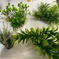 水槽などのプラスチック水草