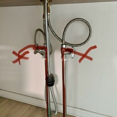 蛇口？の画像