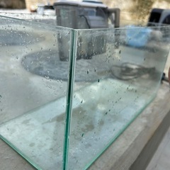水槽 スリム45cm GEXの画像