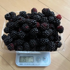 ラズベリー　約750gの画像