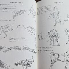 【絵の参考書】動物画の描き方 動物をいきいきと描く秘訣の画像