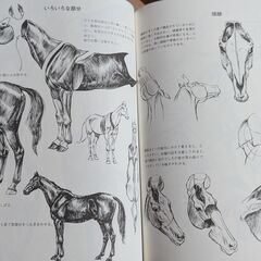 【絵の参考書】動物画の描き方 動物をいきいきと描く秘訣の画像