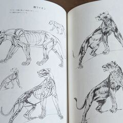 【絵の参考書】動物画の描き方 動物をいきいきと描く秘訣の画像