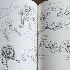 【絵の参考書】動物画の描き方 動物をいきいきと描く秘訣の画像
