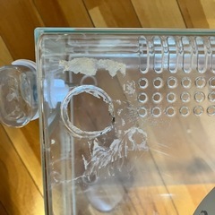 ハムスターのゲージの画像