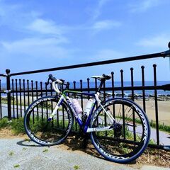 【ロードバイク】CARRERA VELENO TS　マビックCO...