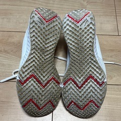 23.5　NIKEランニングシューズの画像