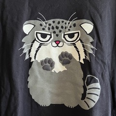 【引取限定】マヌルネコのTシャツ(XL)の画像