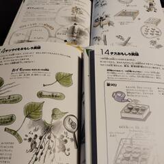 【自由研究、家庭菜園に！】「そだててあそぼう」シリーズ野菜の絵本5冊セットの画像