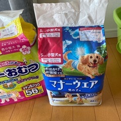 [お取り引き中］
ペットオムツ　マナーウェアの画像