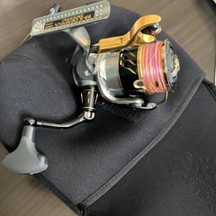 デスピナ2500番