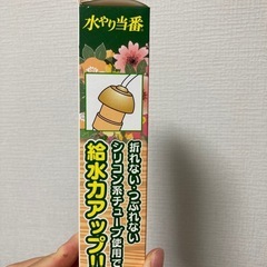 水やり当番の画像