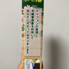 水やり当番の画像