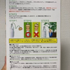 水やり当番の画像